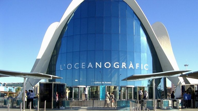 Parco oceanografico di Valencia: orari e prezzi dell’acquario più grande d’Europa