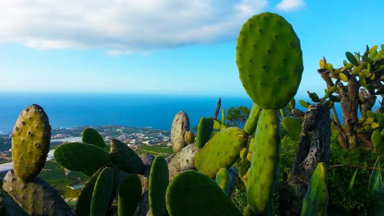 7 cose da vedere assolutamente alle isole Canarie